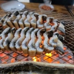 섬진강민물장어