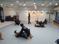 합기도 주짓수 경찰무도 고려전통무예원