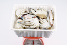 제이콥수산유통