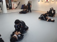 합기도 주짓수 경찰무도 고려전통무예원