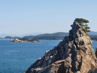 해송민박