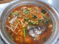 백년명태