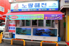노량해전 노량진횟집