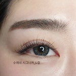 수래쉬
