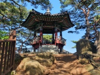 해송민박