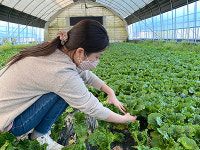 한아름제조유통협동조합