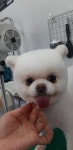 견생스타일
