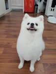 도기살롱