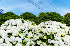블랙피그 산방산점
