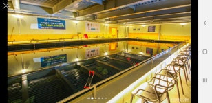 시흥드림바다실내낚시터