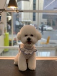 루앤오