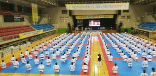 라이온 합기도검도