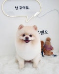 루앤오