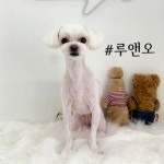 루앤오