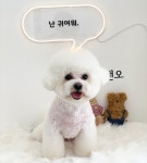루앤오