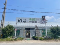 청운농원육묘장
