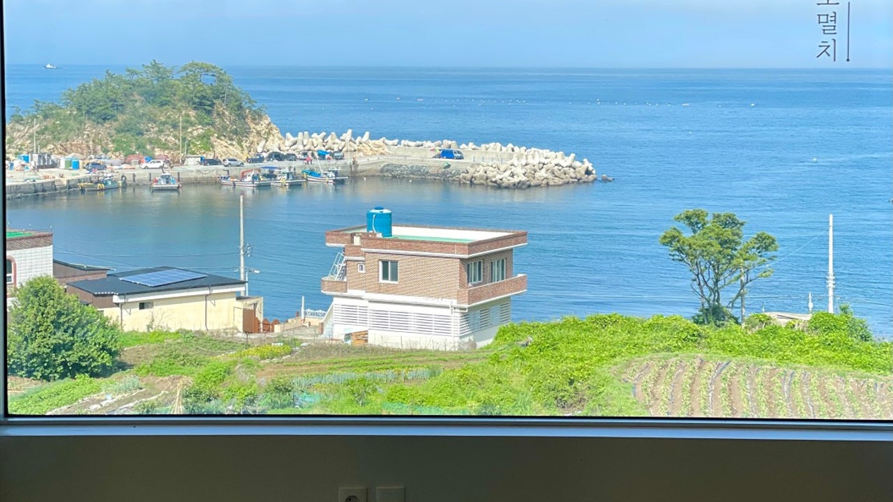 거제도외포멸치