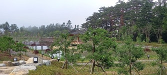 별이네 편백나무 독채