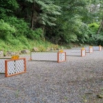 더불어사는터캠핑장