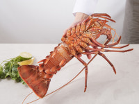 덤앤크랩