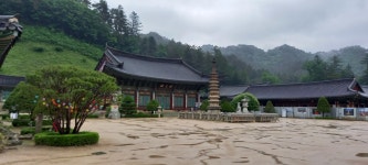 별이네 편백나무 독채
