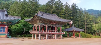 별이네 편백나무 독채