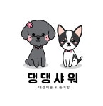 댕댕샤워 애견미용실