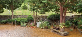 별이네 편백나무 독채