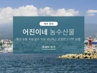 어진이네제주농수산물