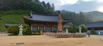 별이네 편백나무 독채