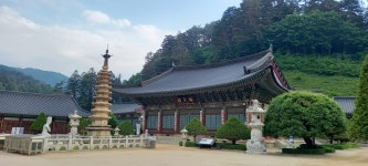 별이네 편백나무 독채