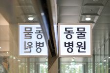 진주동물병원