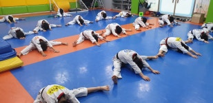 힘찬기합소리태권도