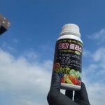 청랑바이오