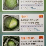 청랑바이오