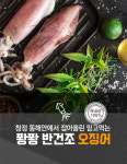 더이로움
