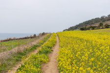 우리두리