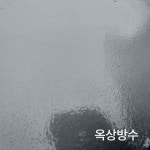 정성개발