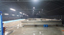 율이네새우농장