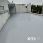 정성개발
