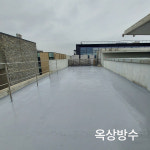정성개발