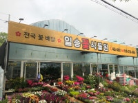 일송꽃식물원