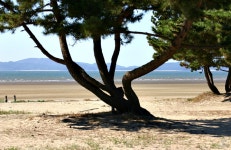 청포대휴캠핑장