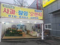 싱싱한과일정거장