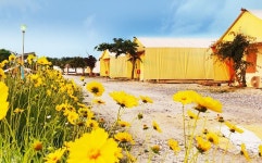 아산레일바이크캠핑장