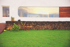 버터플라이코이