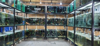 남양주 팀아쿠아