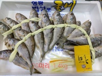 영광법성포굴비