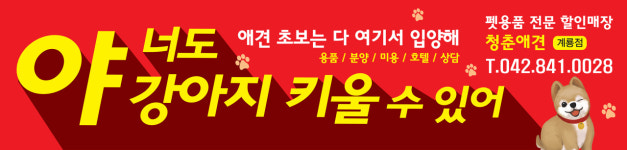 청춘애견 계룡점