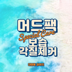 대명동강아지